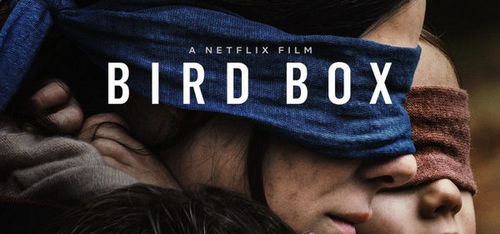 BIRD BOX Netflix muestra a Sandra Bullock sus peores miedos cr