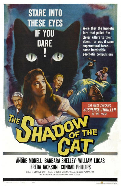 La sombra del gato