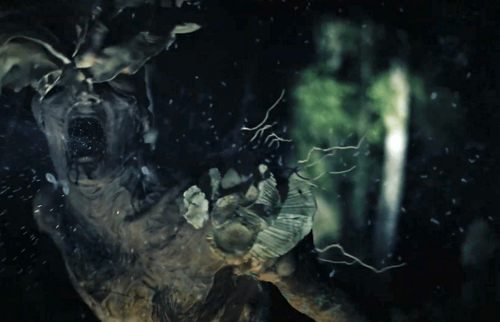 El bosque se defiende en el trailer de Gaia